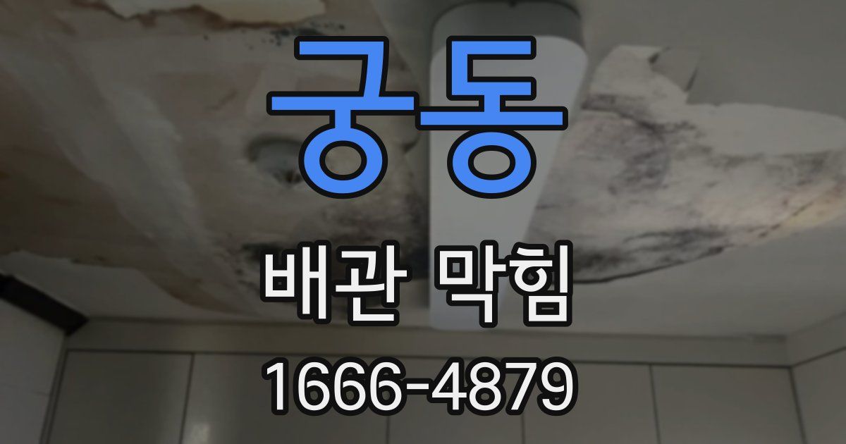 궁동 배관 막힘