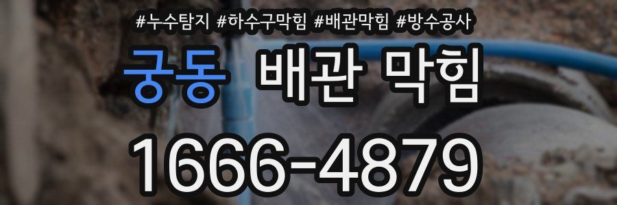 궁동 배관 막힘