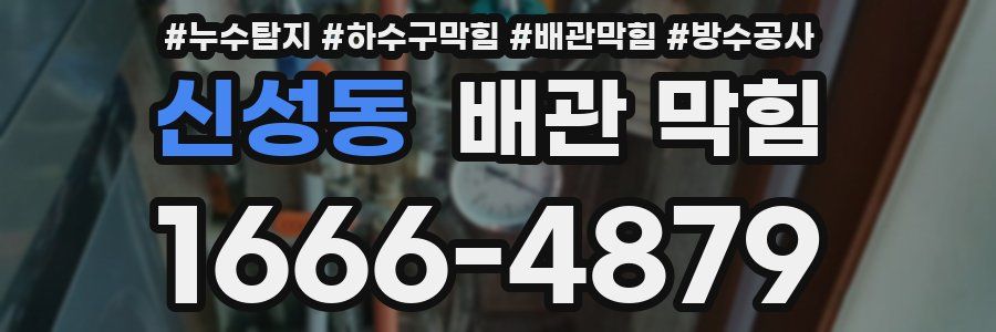 신성동 배관 막힘