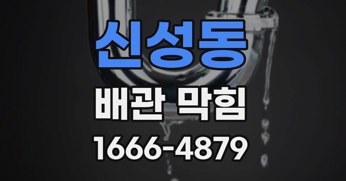 신성동 배관 막힘