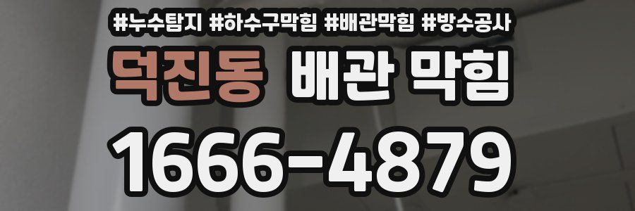 덕진동 배관 막힘