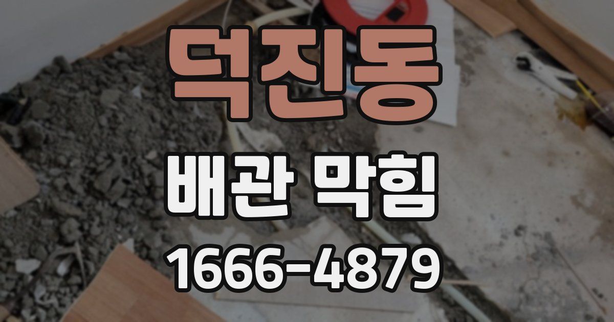 덕진동 배관 막힘