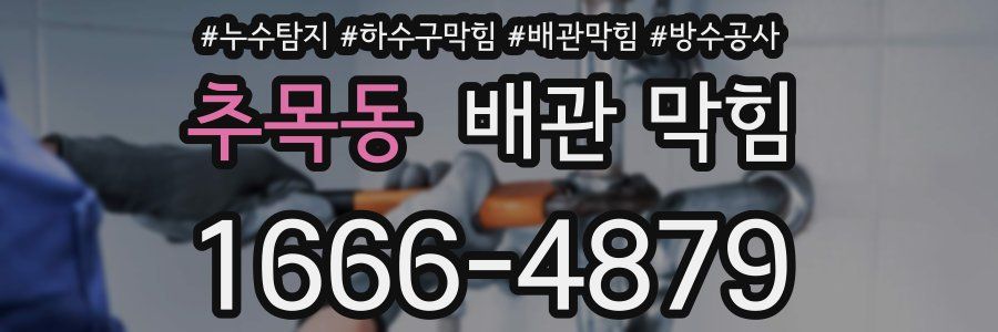 추목동 배관 막힘