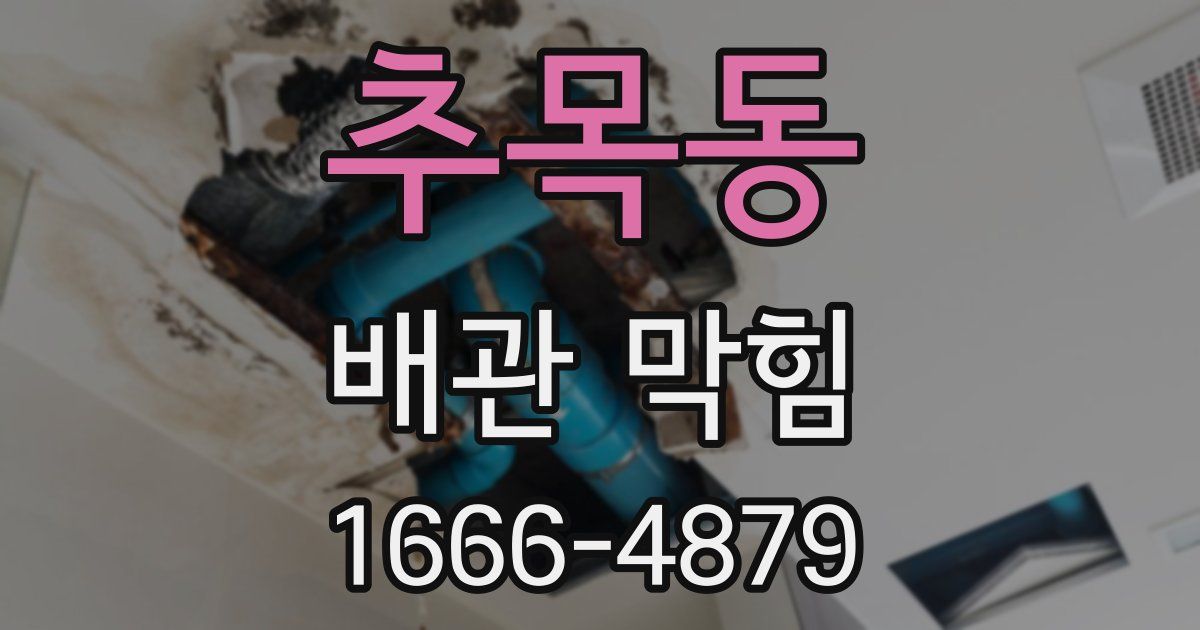 추목동 배관 막힘