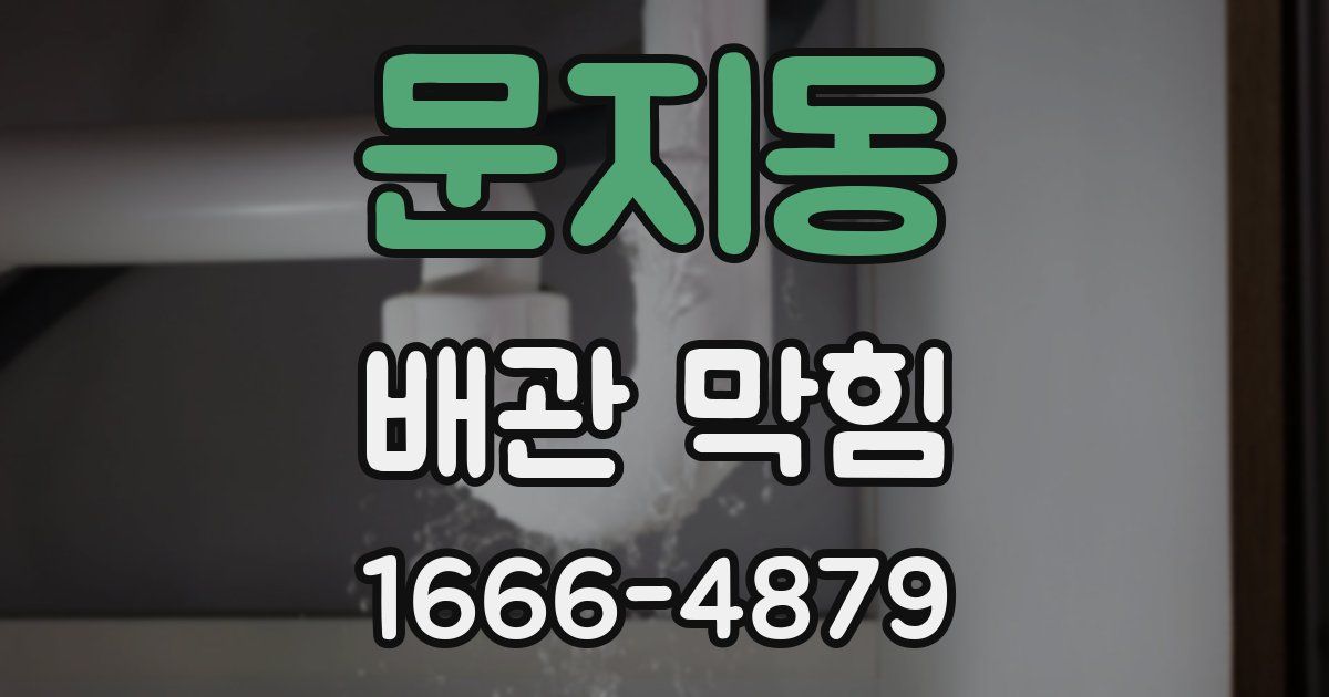 문지동 배관 막힘