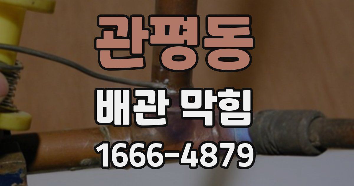 관평동 배관 막힘