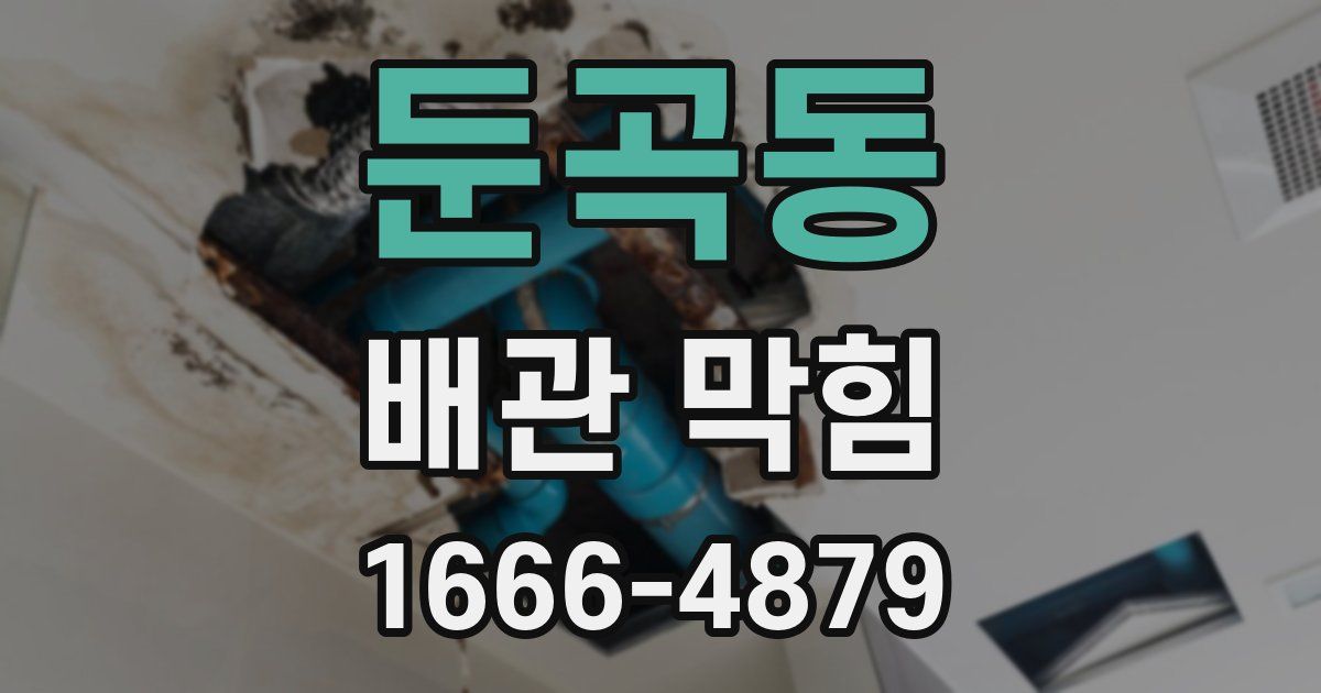 둔곡동 배관 막힘