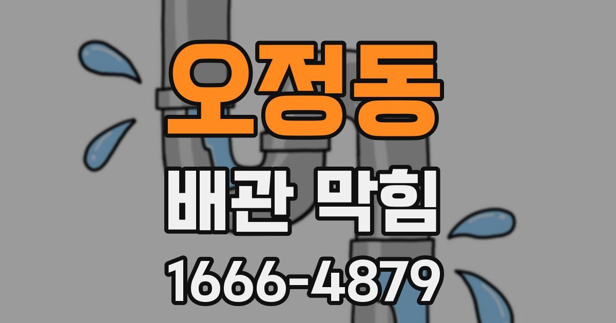 오정동 배관 막힘