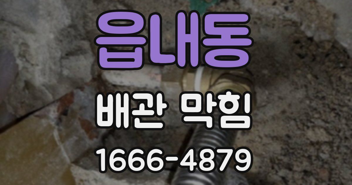 읍내동 배관 막힘