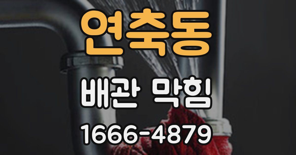 연축동 배관 막힘