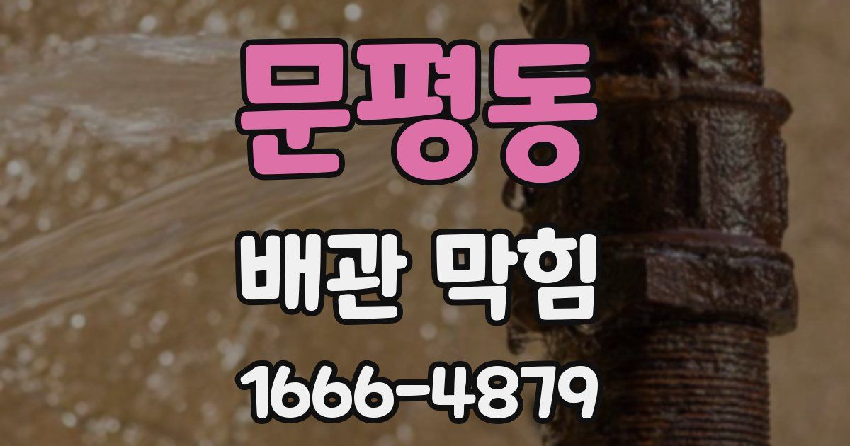 문평동 배관 막힘