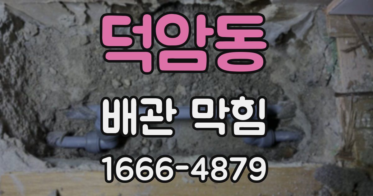 덕암동 배관 막힘
