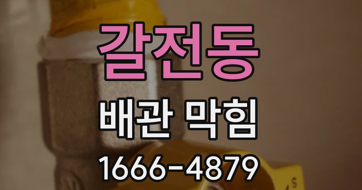 갈전동 배관 막힘