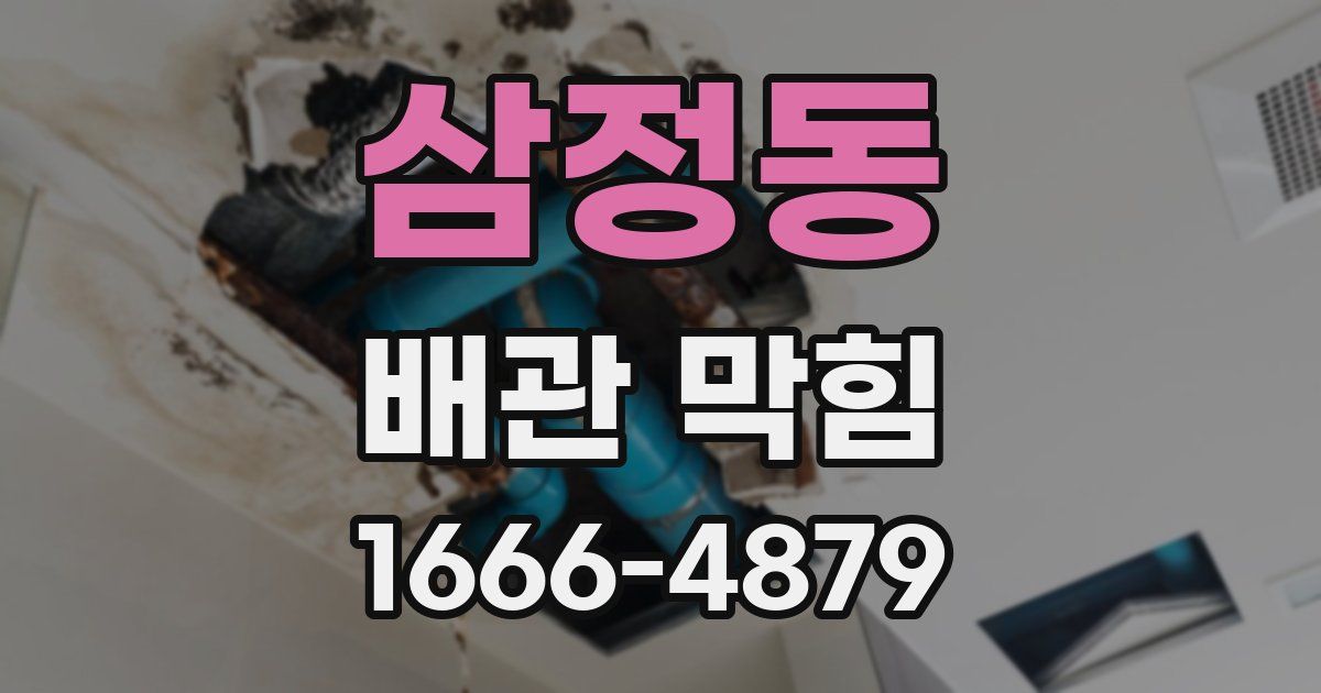 삼정동 배관 막힘