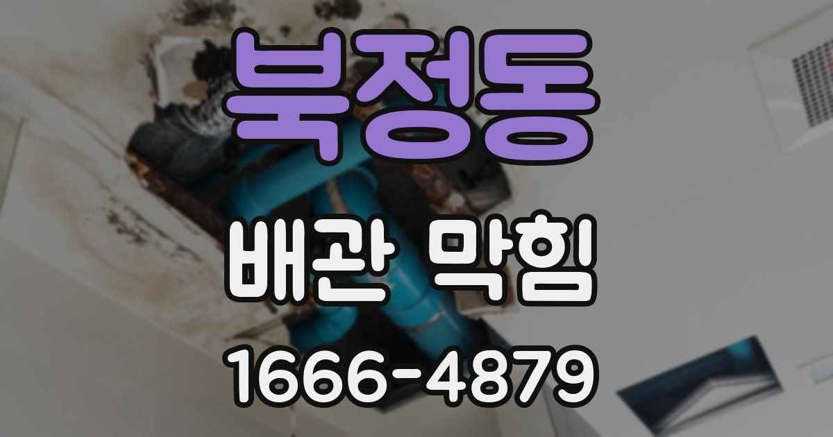 북정동 배관 막힘