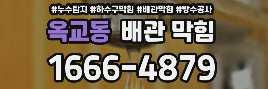 옥교동 배관 막힘