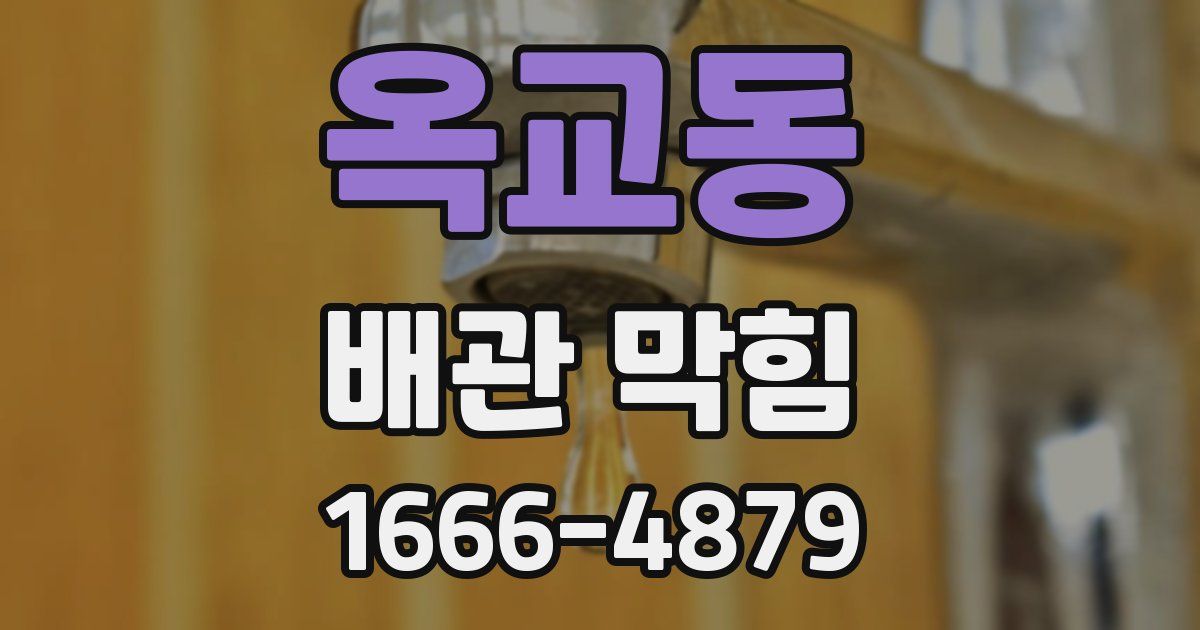 옥교동 배관 막힘