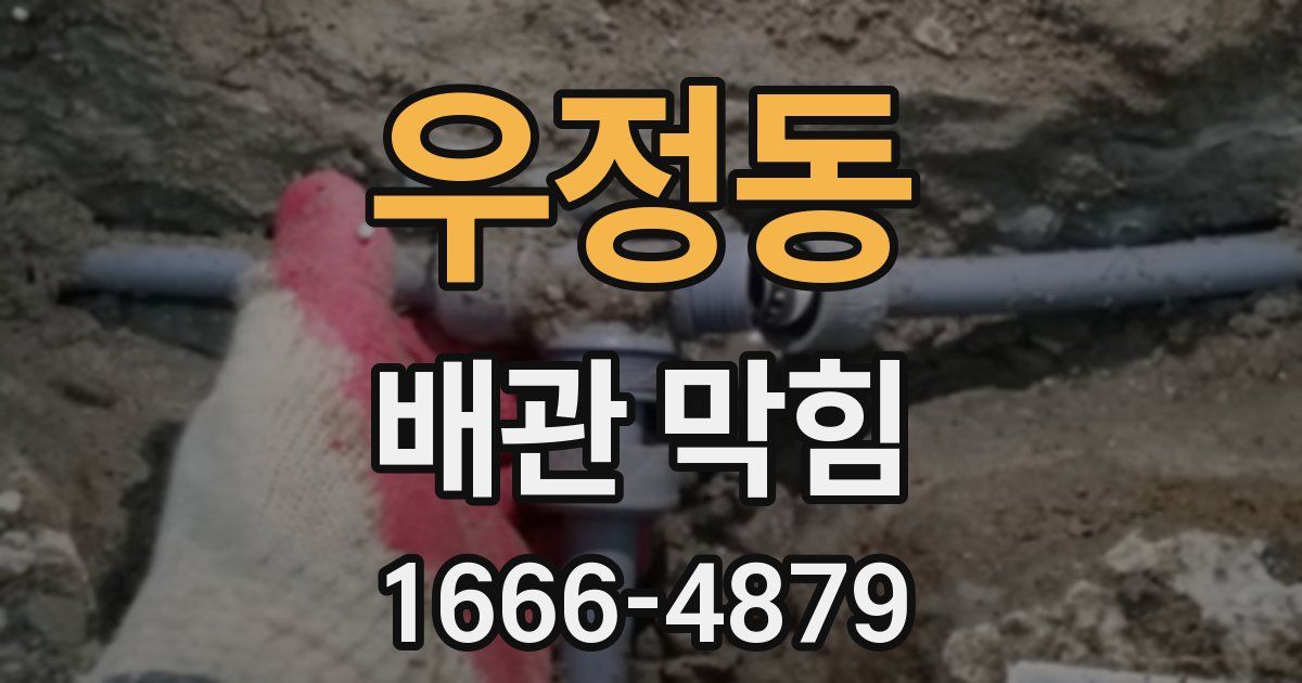 우정동 배관 막힘