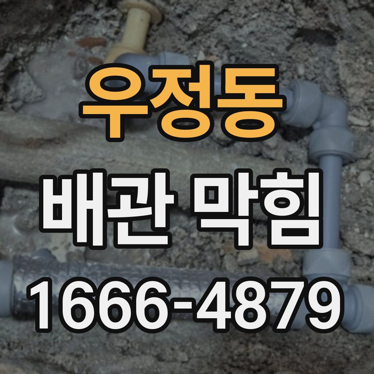 우정동 배관 막힘