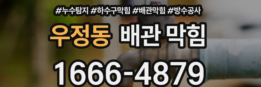 우정동 배관 막힘