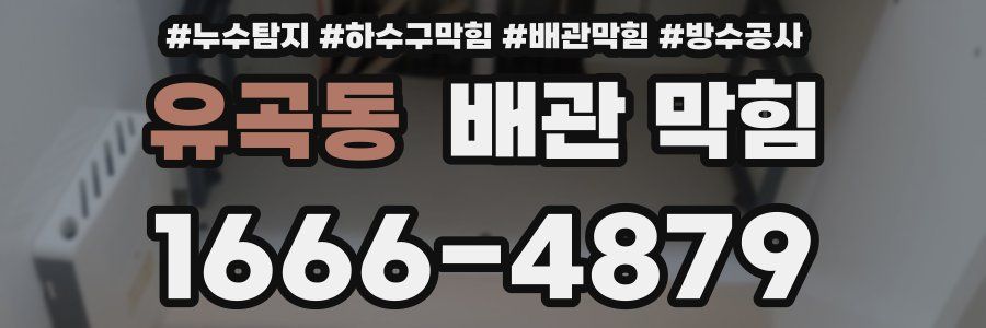 유곡동 배관 막힘