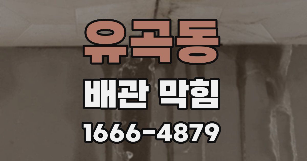 유곡동 배관 막힘