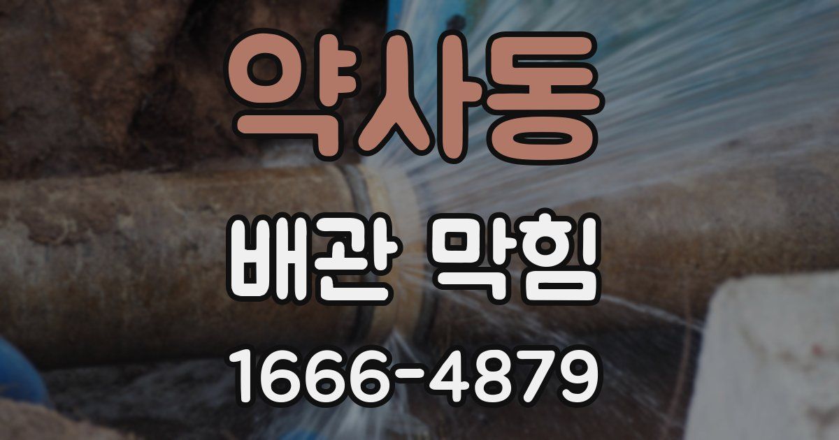약사동 배관 막힘