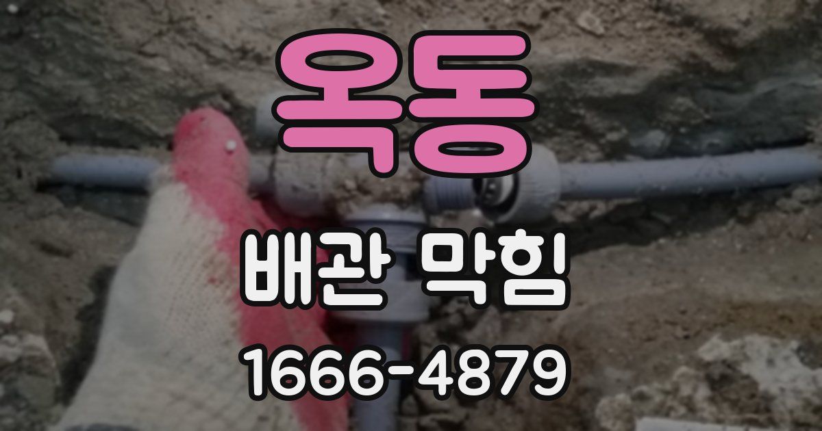 옥동 배관 막힘
