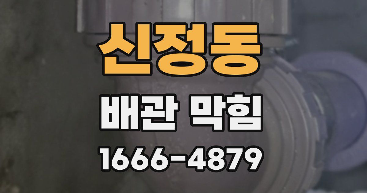 신정동 배관 막힘