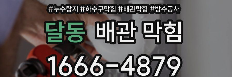 달동 배관 막힘