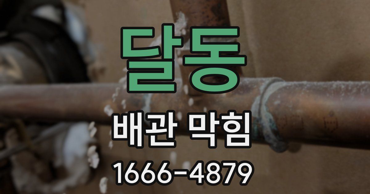 달동 배관 막힘