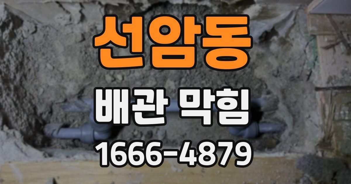 선암동 배관 막힘