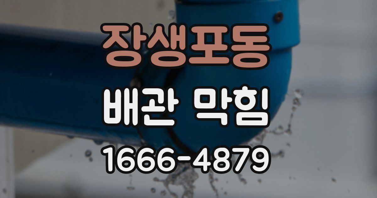 장생포동 배관 막힘