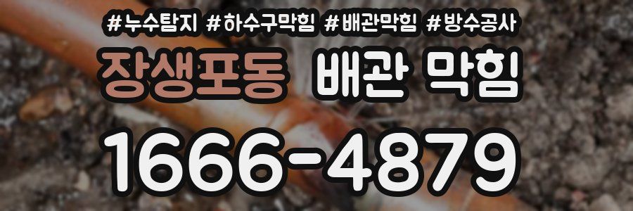 장생포동 배관 막힘