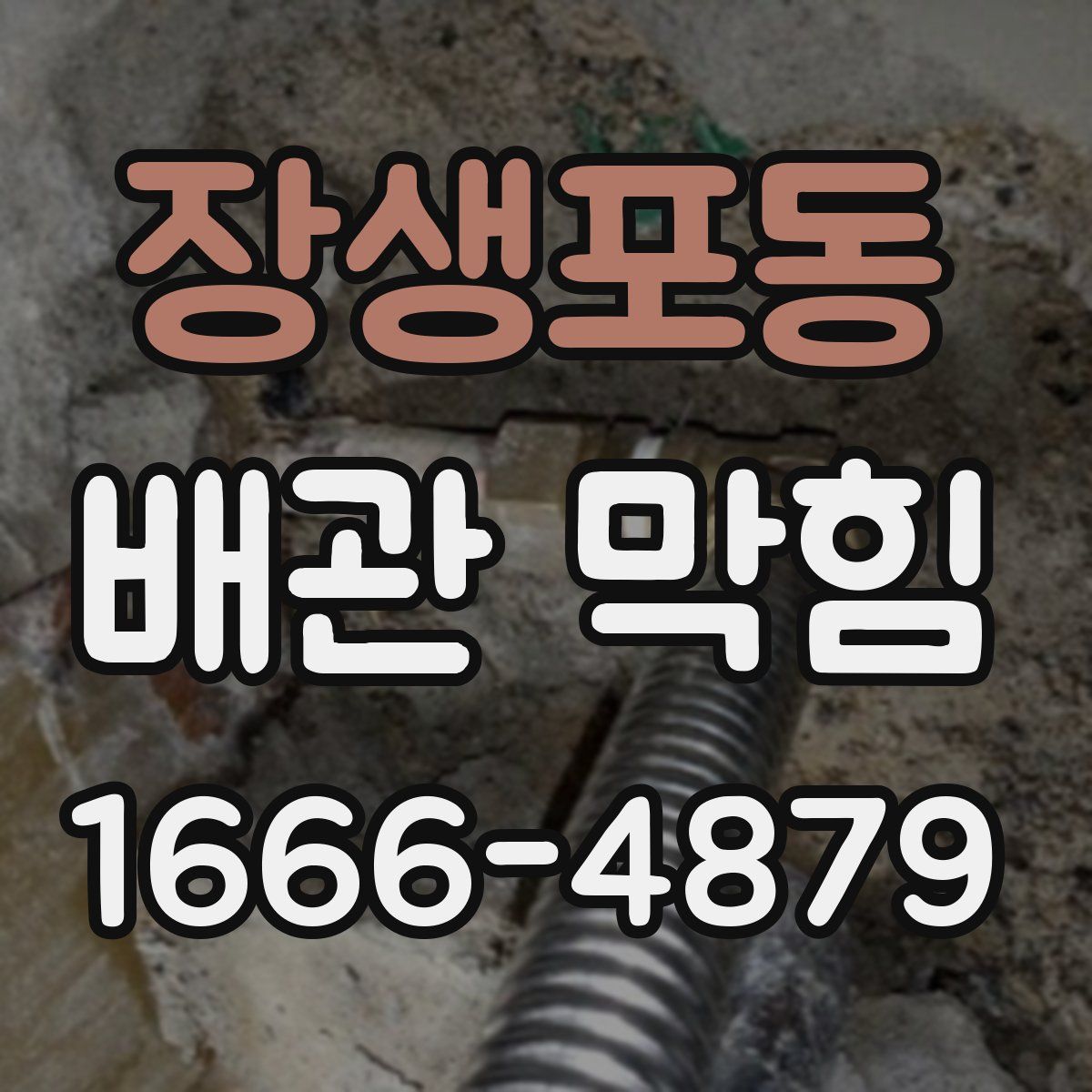 장생포동 배관 막힘