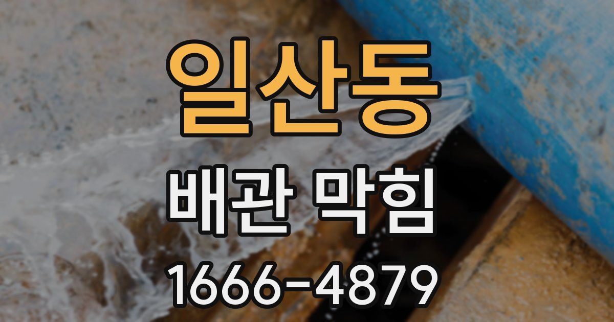 일산동 배관 막힘