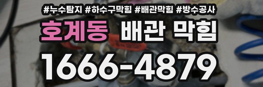 호계동 배관 막힘