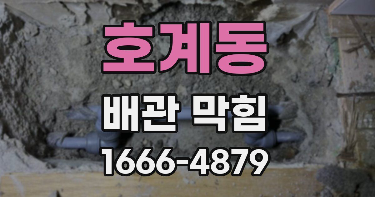 호계동 배관 막힘