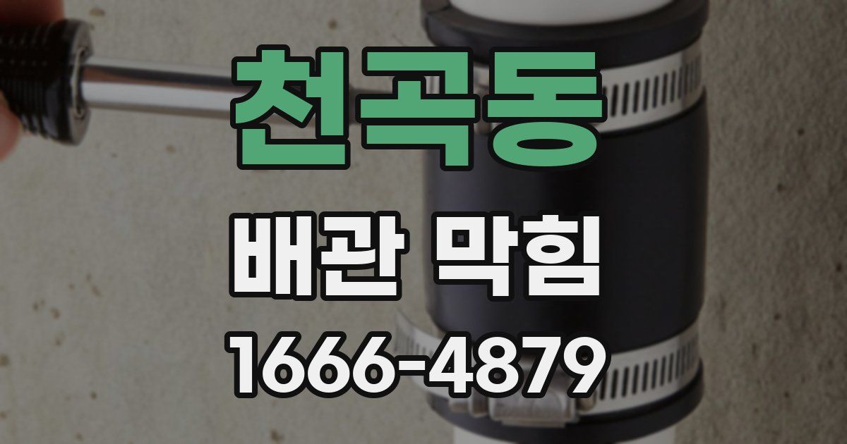 천곡동 배관 막힘