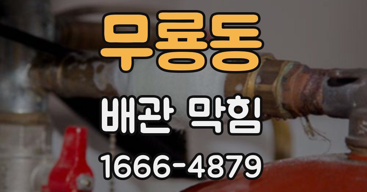 무룡동 배관 막힘