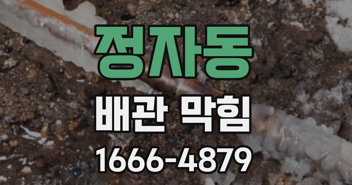 정자동 배관 막힘