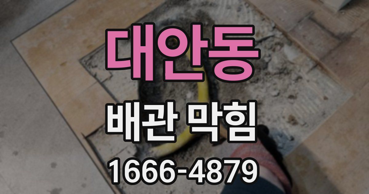 대안동 배관 막힘
