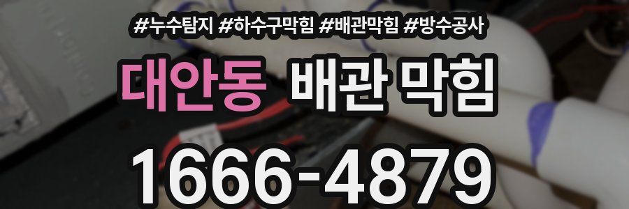 대안동 배관 막힘