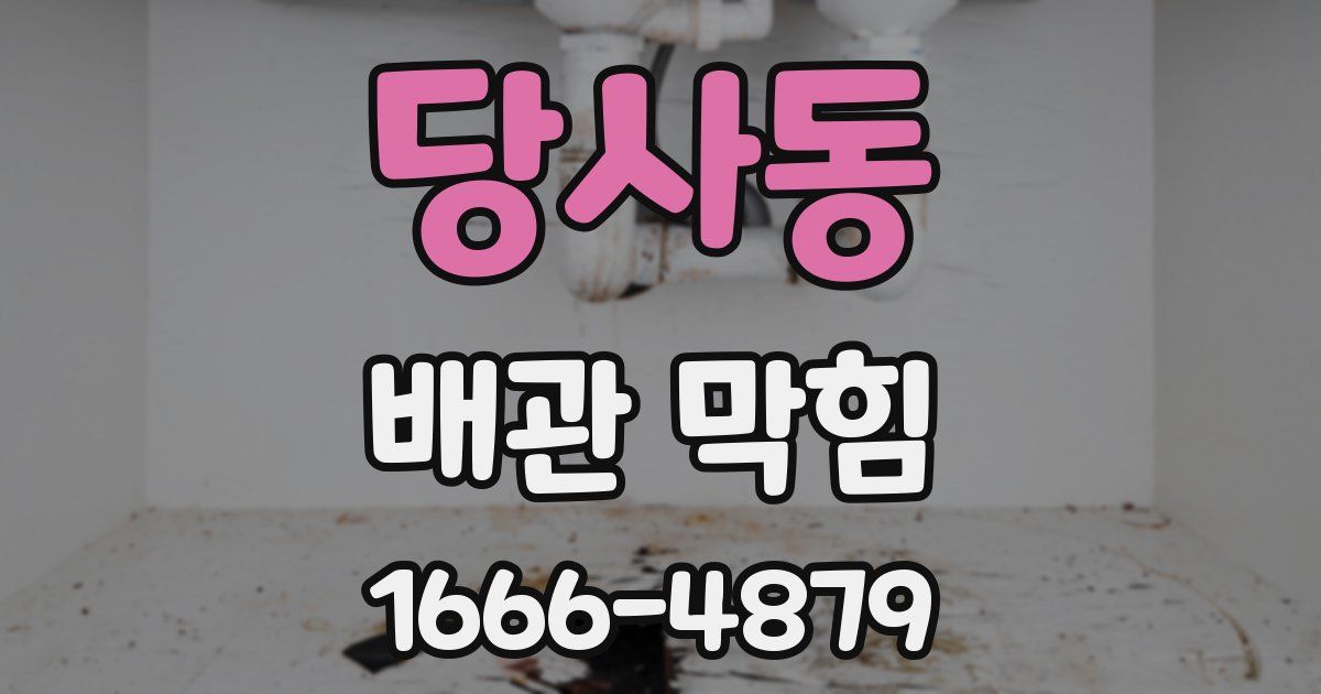 당사동 배관 막힘