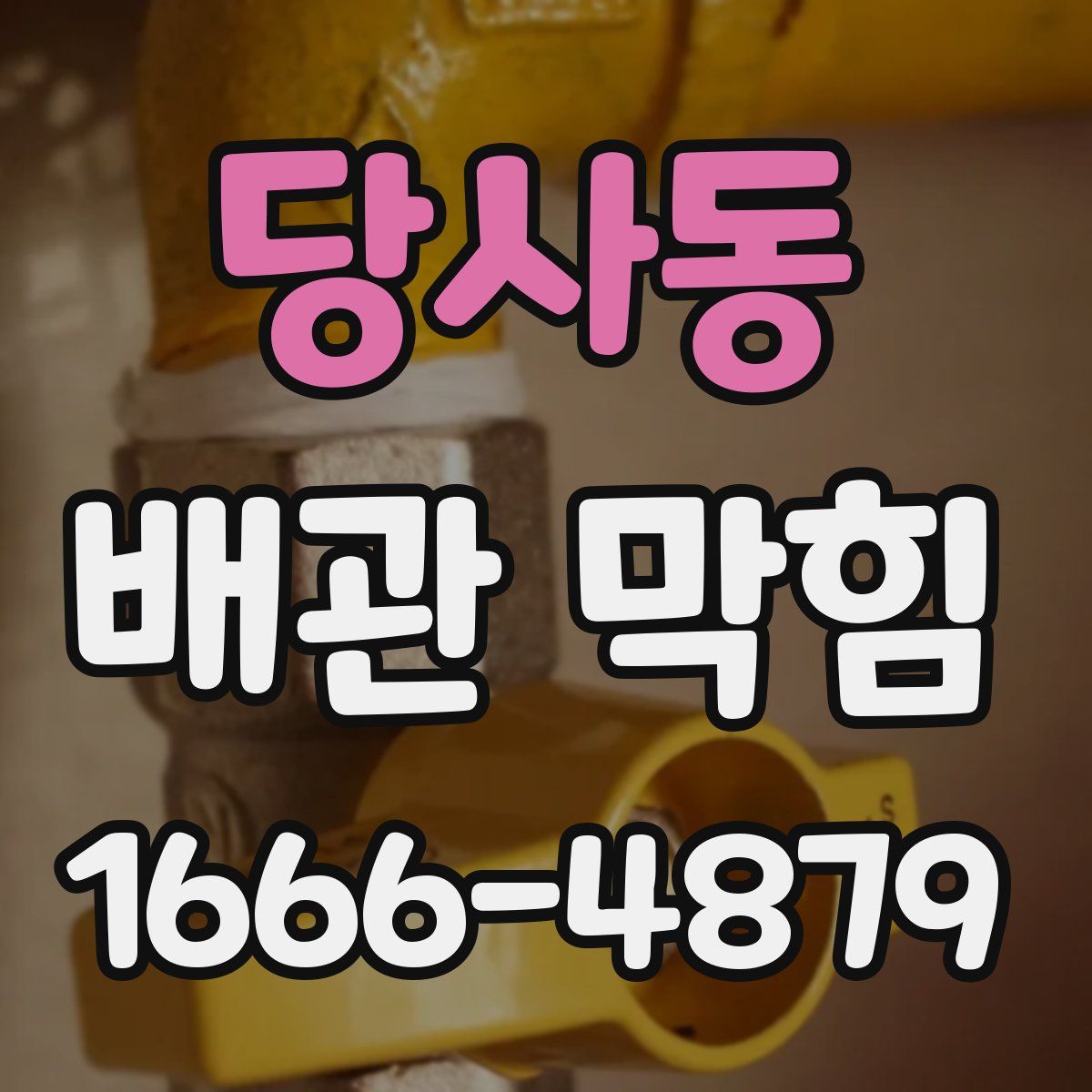 당사동 배관 막힘