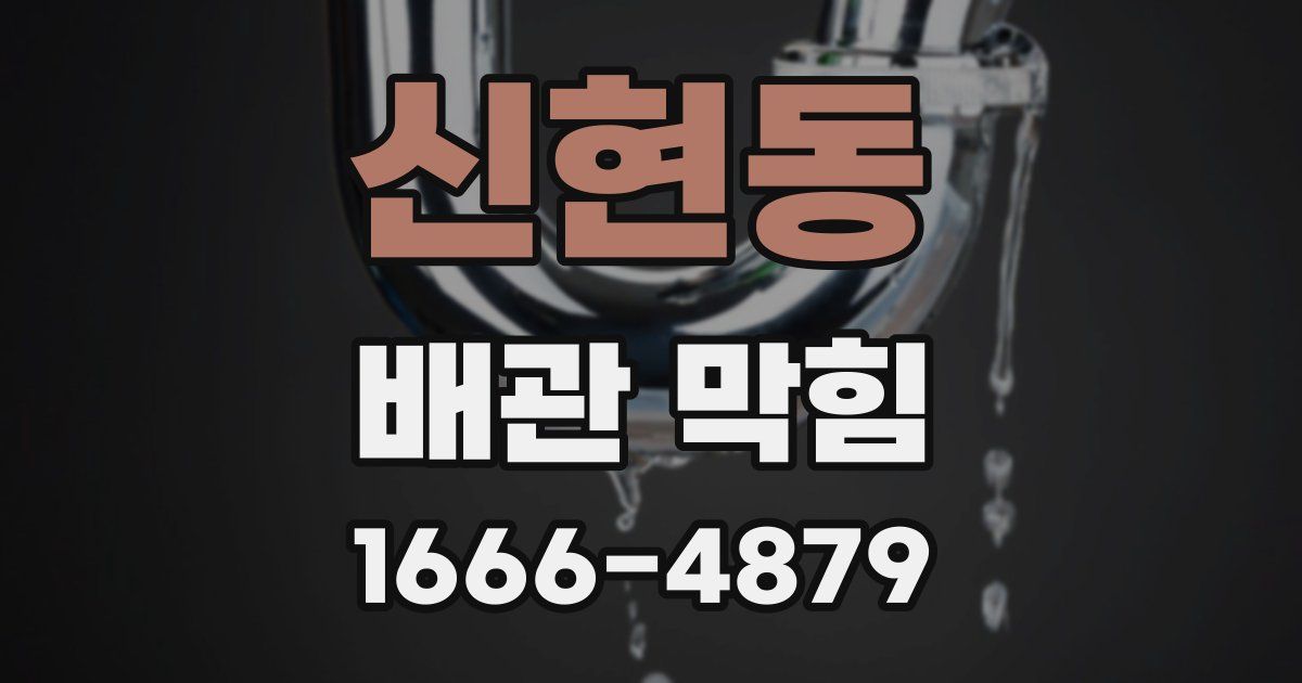 신현동 배관 막힘