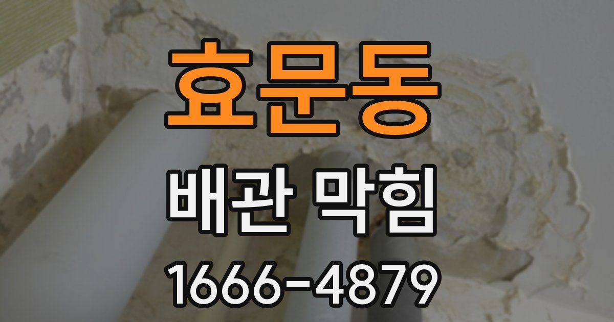 효문동 배관 막힘