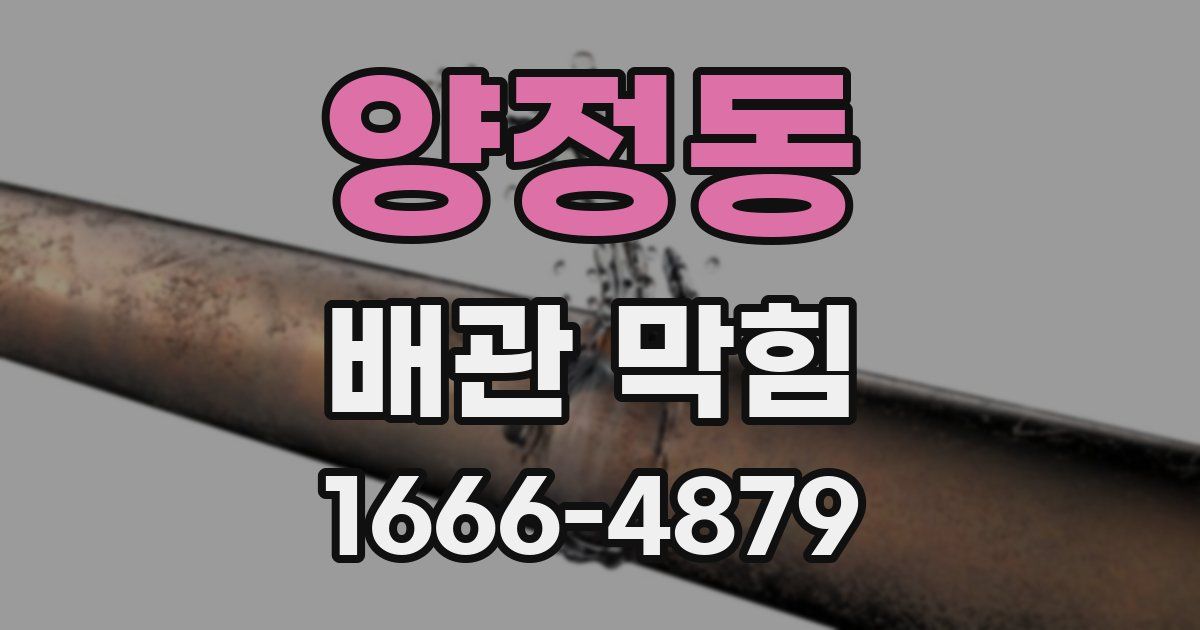 양정동 배관 막힘