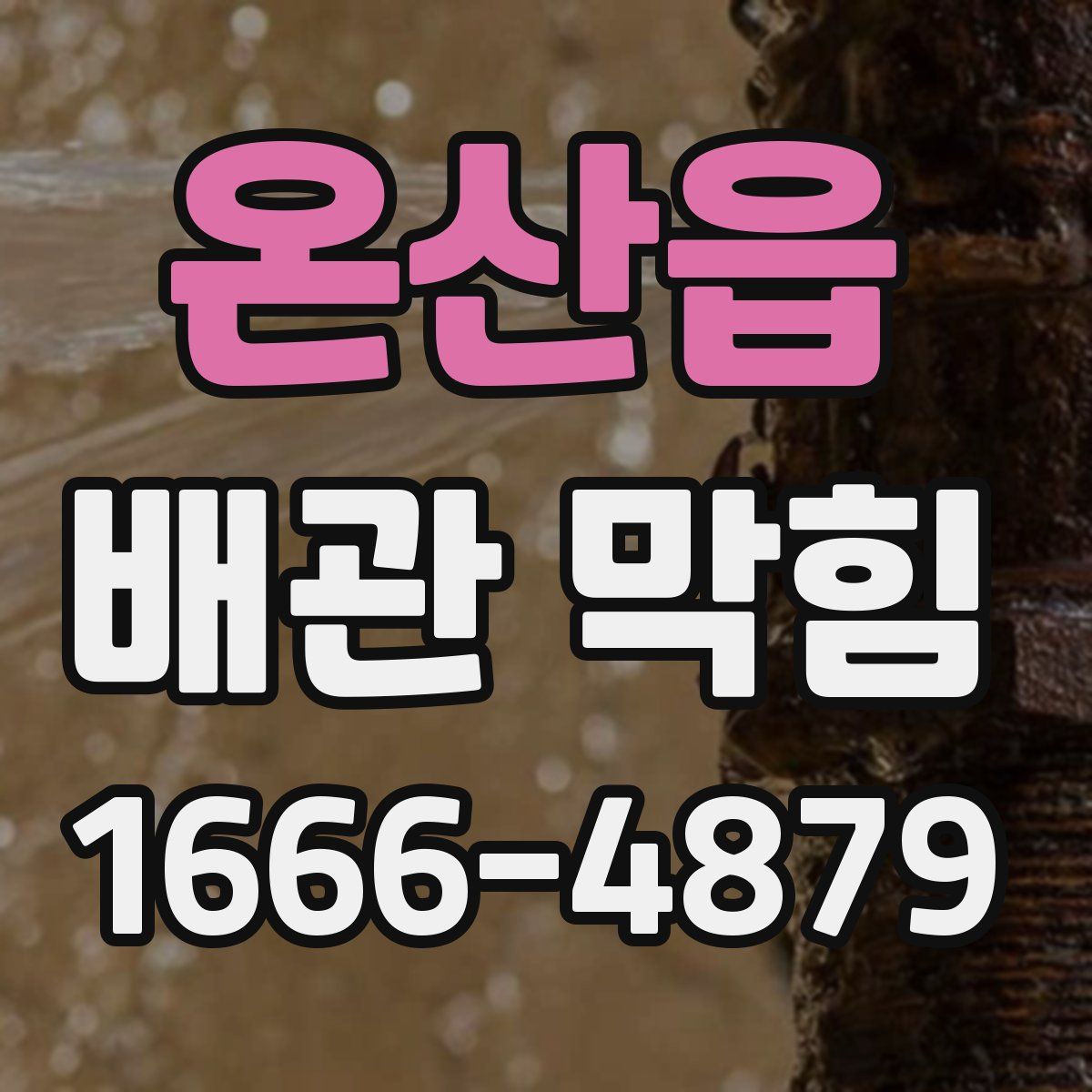 온산읍 배관 막힘