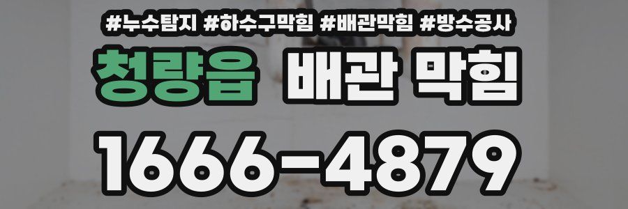 청량읍 배관 막힘